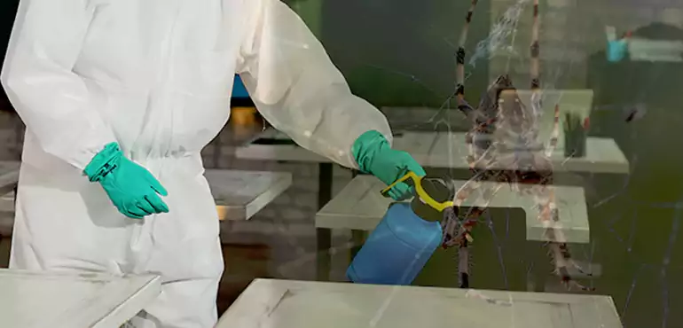 Why Buyers Still Want Homes With Pest Infestations in Manhattan, NY?