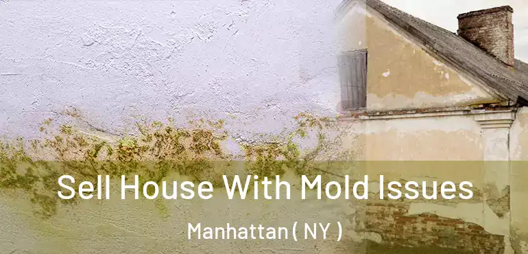  Sell House With Mold Issues Manhattan ( NY )